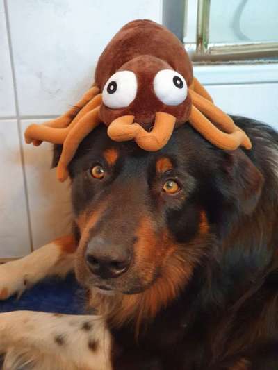 Foto Challenge die Vierte-Beitrag-Bild