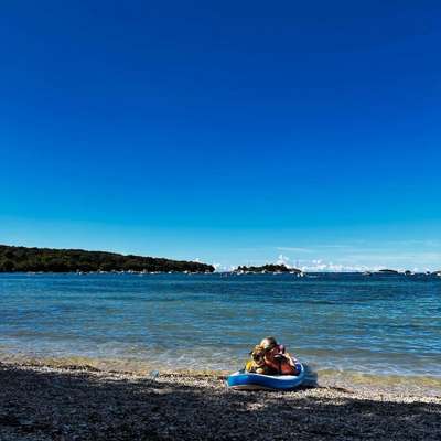 Vanessa's Profilbild