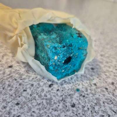 Giftköder-Blauer Köderblock-Bild