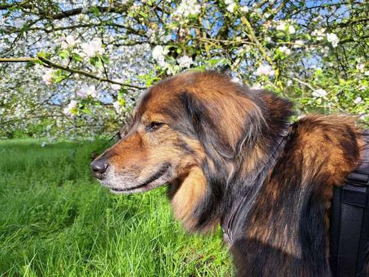 Freddys Kummerkasten-Beitrag-Bild