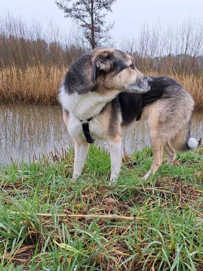 Freddys Kummerkasten-Beitrag-Bild