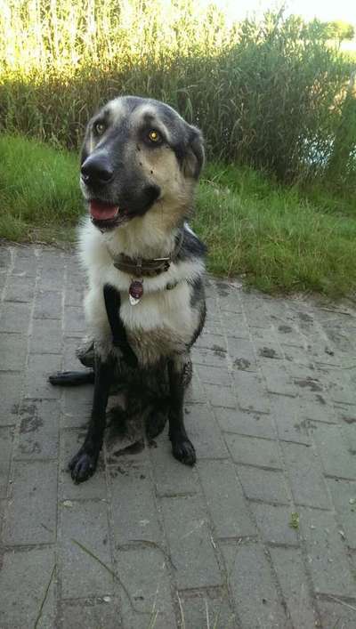 Freddys Kummerkasten-Beitrag-Bild