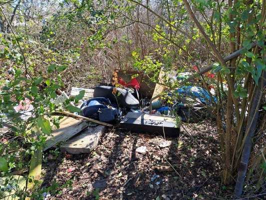 Challenge – Gassi & Clean-Beitrag-Bild