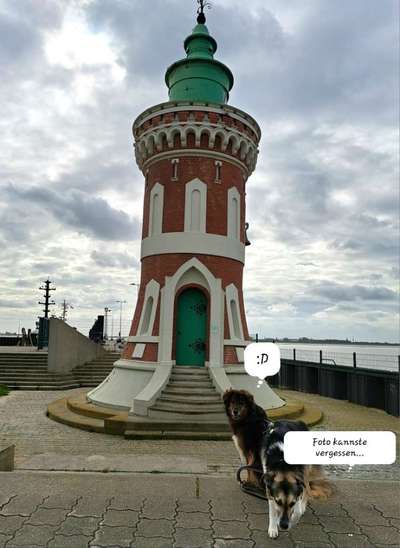 Freddys Kummerkasten-Beitrag-Bild