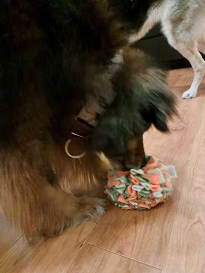 Freddys Kummerkasten-Beitrag-Bild