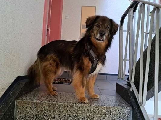 Freddys Kummerkasten-Beitrag-Bild