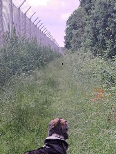 Freddys Kummerkasten-Beitrag-Bild