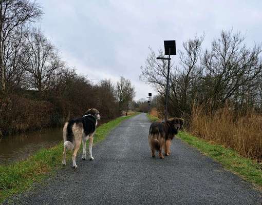 Freddys Kummerkasten-Beitrag-Bild