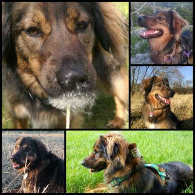 23. Collagen-Challenge: Portraits-Beitrag-Bild