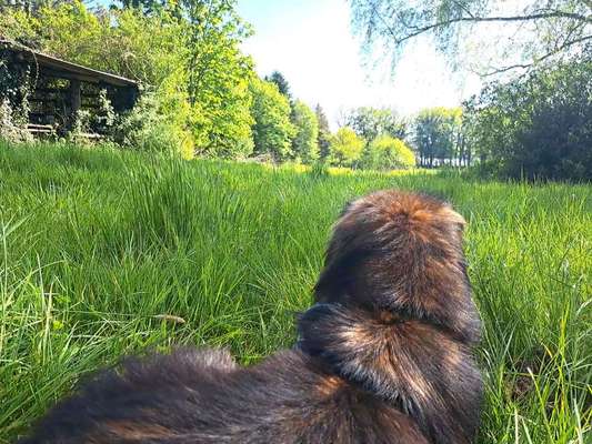 Freddys Kummerkasten-Beitrag-Bild