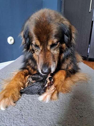 Freddys Kummerkasten-Beitrag-Bild