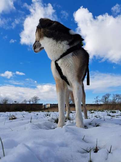 Freddys Kummerkasten-Beitrag-Bild