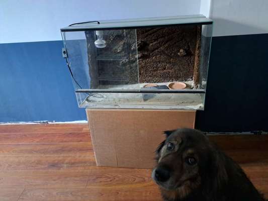 Freddys Kummerkasten-Beitrag-Bild