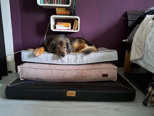 Freddys Kummerkasten-Beitrag-Bild