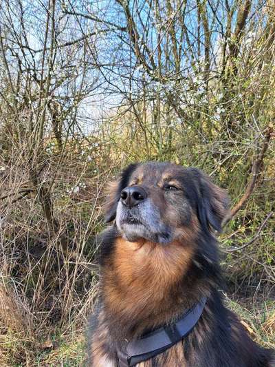 Freddys Kummerkasten-Beitrag-Bild