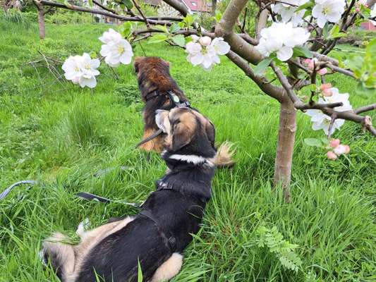 Freddys Kummerkasten-Beitrag-Bild