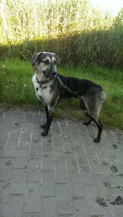 Freddys Kummerkasten-Beitrag-Bild