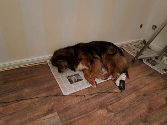 Freddys Kummerkasten-Beitrag-Bild