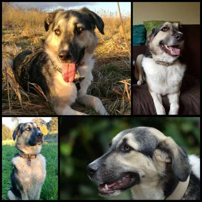 23. Collagen-Challenge: Portraits-Beitrag-Bild