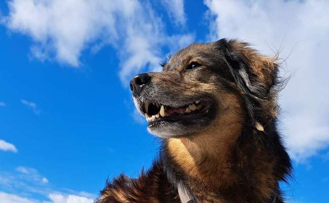 10. Farben Foto-Challenge ---- Blau-Beitrag-Bild