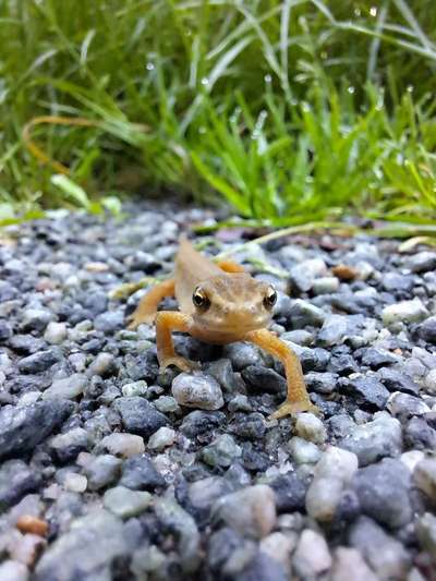 Freddys Kummerkasten-Beitrag-Bild