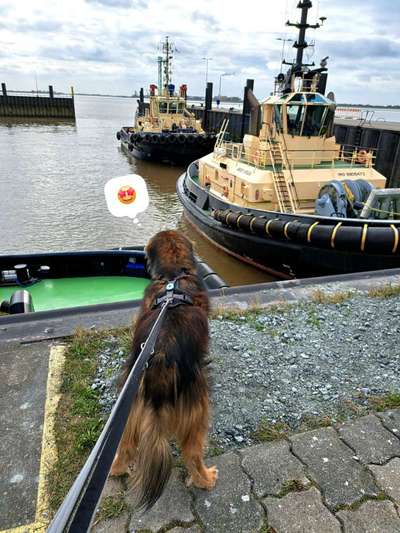 Freddys Kummerkasten-Beitrag-Bild