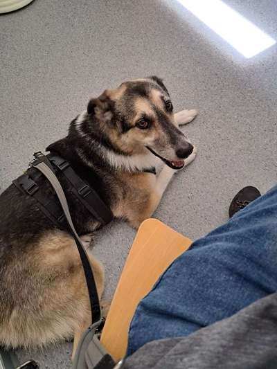 Freddys Kummerkasten-Beitrag-Bild