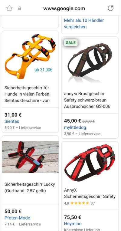 Weigert sich spazieren zu gehen-Beitrag-Bild