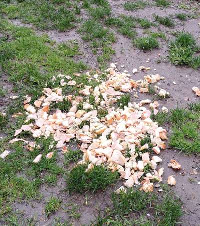 Was hat euch heute genervt?-Beitrag-Bild