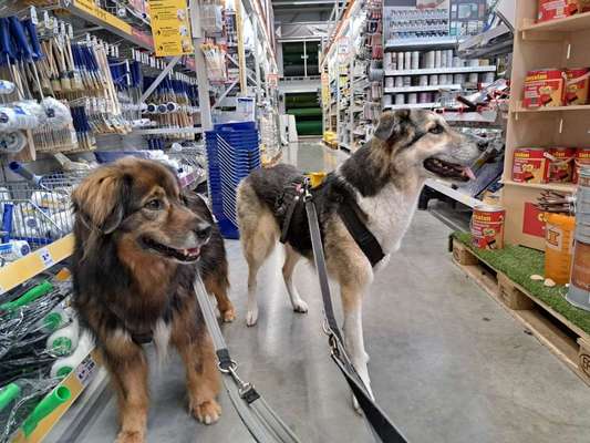 Freddys Kummerkasten-Beitrag-Bild