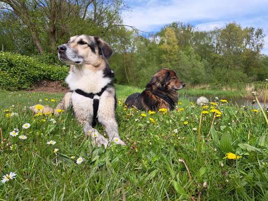 Freddys Kummerkasten-Beitrag-Bild