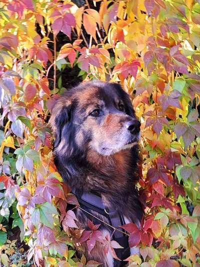 Was hat euch heute genervt?-Beitrag-Bild