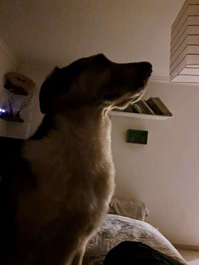 Lustige Eigenheiten-Beitrag-Bild