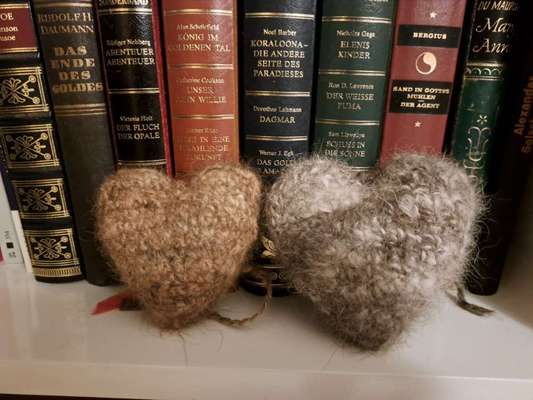 Ressource Hundewolle-Beitrag-Bild