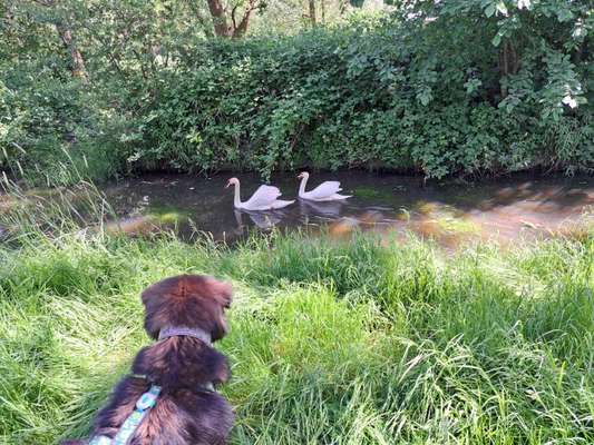 Freddys Kummerkasten-Beitrag-Bild