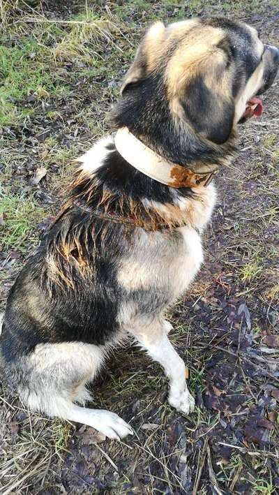 Freddys Kummerkasten-Beitrag-Bild