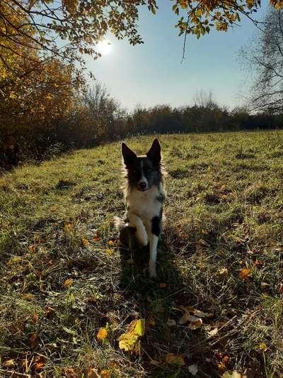 Foto Challenge 2 BEENDET 
Bitte aktuelle Challenge nutzen-Beitrag-Bild