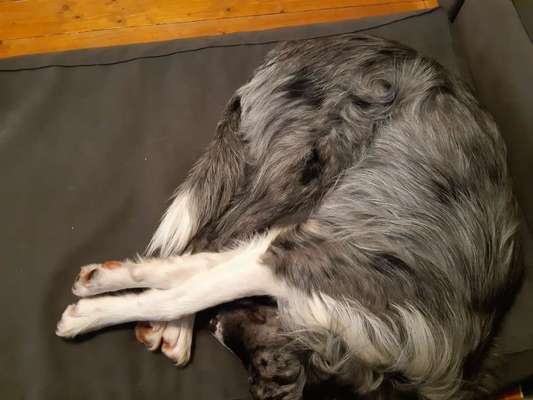 Die unbequemsten und lustigsten Schlafpositionen-Beitrag-Bild