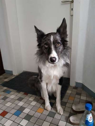 Fotochallange Nr. 6 Die irrsten Blicke-Beitrag-Bild