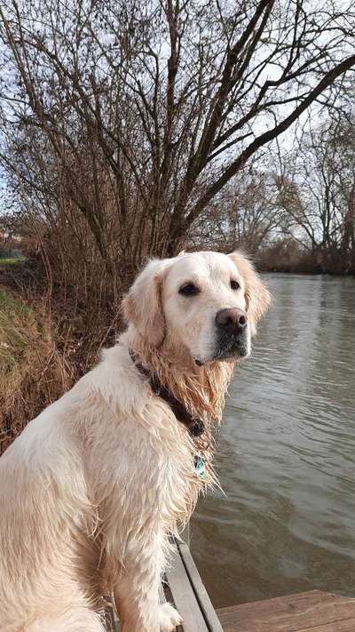 Fotochallenge No. 26                                     Wald und Wiese-Beitrag-Bild