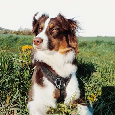 Fotowettbewerb Natur-Beitrag-Bild