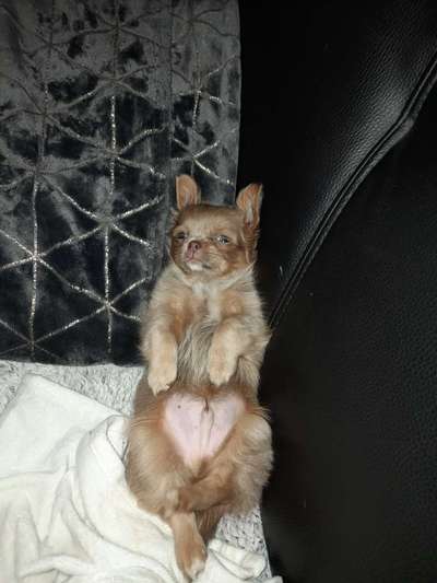 Fotochallenge Nr.65-Beitrag-Bild