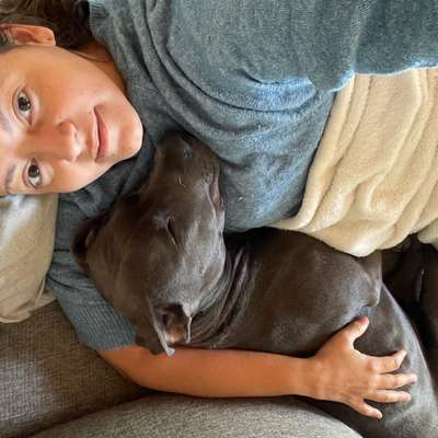Hundetreffen-Hundefreunde gesucht-Bild