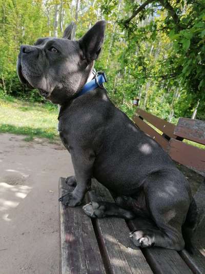 Lieblingsbild-Beitrag-Bild