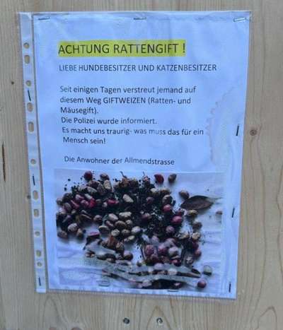 Giftköder-Rattengift-Bild