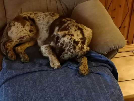 Die unbequemsten und lustigsten Schlafpositionen-Beitrag-Bild