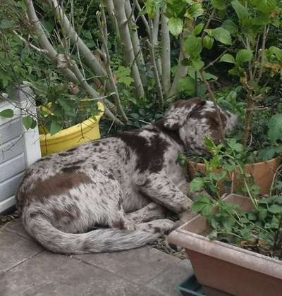 Die unbequemsten und lustigsten Schlafpositionen-Beitrag-Bild