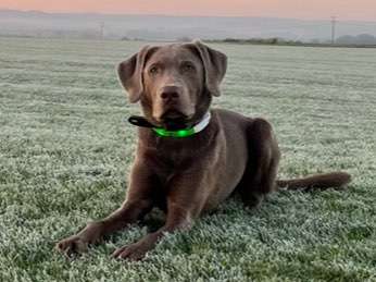 Fotochallange Nr. 57     PORTRÄT.   Beendet!!!!!!!!-Beitrag-Bild