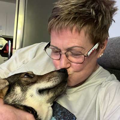 Hundetreffen-Spielfreunde Gesucht