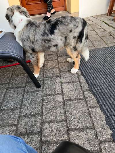 Der Gewichts-Thread-Beitrag-Bild